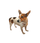 JRT ふく＆はな（個別スタンプ：18）