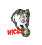 JRT ふく＆はな（個別スタンプ：19）