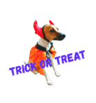 JRT ふく＆はな（個別スタンプ：22）