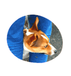JRT ふく＆はな（個別スタンプ：23）