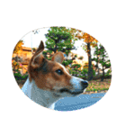 JRT ふく＆はな（個別スタンプ：25）