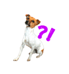 JRT ふく＆はな（個別スタンプ：29）