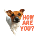 JRT ふく＆はな（個別スタンプ：33）