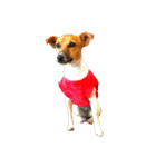 JRT ふく＆はな（個別スタンプ：37）