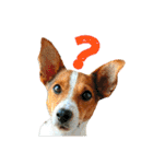 JRT ふく＆はな（個別スタンプ：39）