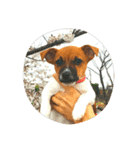 JRT ふく＆はな（個別スタンプ：40）