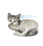 mister Neko kitten（個別スタンプ：1）