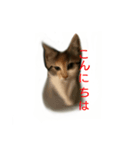 mister Neko kitten（個別スタンプ：5）