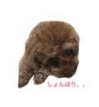 レッドトイプースタンプ（個別スタンプ：2）