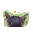 サランの生活（個別スタンプ：1）