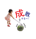 Chi-Shio-stamps（個別スタンプ：30）