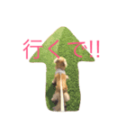 ミニチュアダックス もも（個別スタンプ：9）