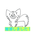 パピヨンのリロ♪結婚、離婚、海外編（個別スタンプ：17）