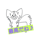 パピヨンのリロ♪結婚、離婚、海外編（個別スタンプ：19）