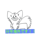パピヨンのリロ♪結婚、離婚、海外編（個別スタンプ：23）