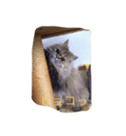 neko no Sticker（個別スタンプ：7）