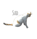 cat's paradise（個別スタンプ：5）
