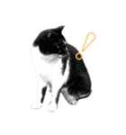 cat's paradise（個別スタンプ：8）