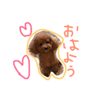 ましゅぼんの毎日2（個別スタンプ：20）