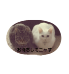 オキジとオシロ（個別スタンプ：1）