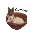 オキジとオシロ（個別スタンプ：10）