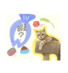 メルマシュー アメショー猫スタンプ（個別スタンプ：3）