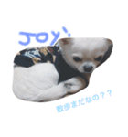 じょいくんだ（個別スタンプ：1）