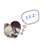じょいくんだ（個別スタンプ：4）