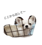 じょいくんだ（個別スタンプ：5）