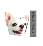 じょいくんだ（個別スタンプ：7）