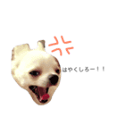 じょいくんだ（個別スタンプ：12）