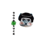 ハマ猫2（個別スタンプ：4）