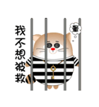 Funny big cat（個別スタンプ：11）