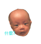 little Q baby（個別スタンプ：1）