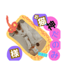 ルイの日常にゃん♪（個別スタンプ：1）