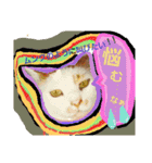 ルイの日常にゃん♪（個別スタンプ：6）