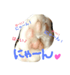 ルイの日常にゃん♪（個別スタンプ：10）
