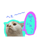 ルイの日常にゃん♪（個別スタンプ：13）