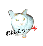 ルイの日常にゃん♪（個別スタンプ：16）