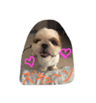 ココにゃんとボニー（個別スタンプ：3）