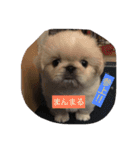 ココにゃんとボニー（個別スタンプ：4）