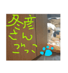 ココにゃんとボニー（個別スタンプ：33）