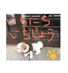 ココにゃんとボニー（個別スタンプ：39）