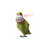 ワカケにキュン！（個別スタンプ：5）