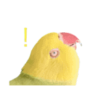 ワカケにキュン！（個別スタンプ：7）