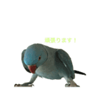 ワカケにキュン！（個別スタンプ：13）
