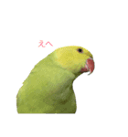 ワカケにキュン！（個別スタンプ：16）