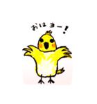 オカメ（個別スタンプ：1）