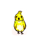 オカメ（個別スタンプ：8）