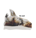 Yorkshire Terrier shishi（個別スタンプ：6）